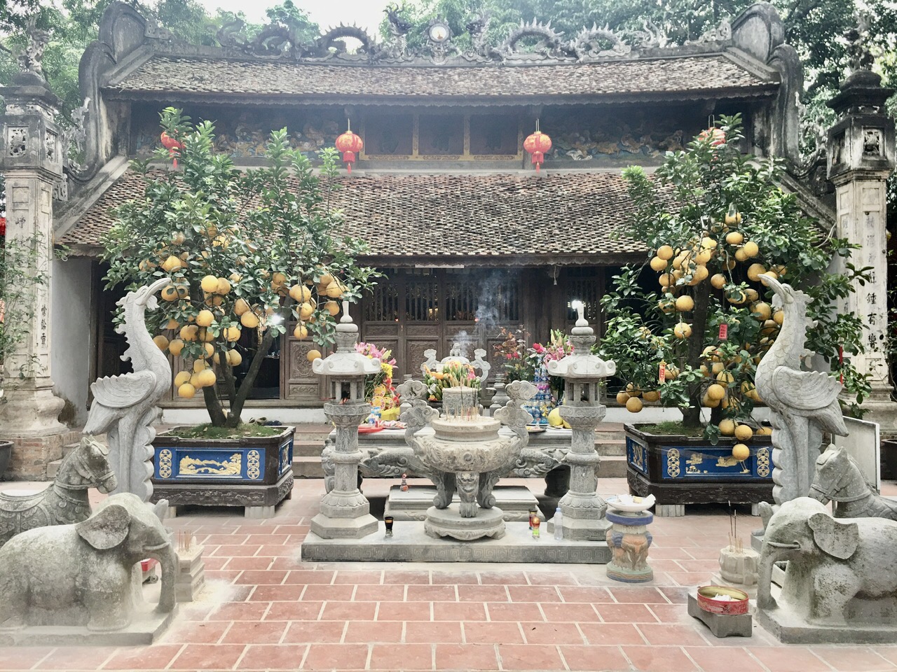 anh den cao.jpg